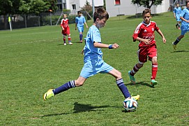 IMG_7258.jpg IMG_7258.jpg