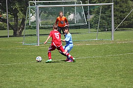 IMG_7264.jpg IMG_7264.jpg
