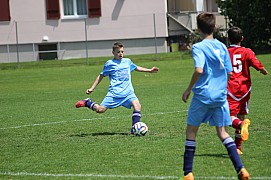 IMG_7271.jpg IMG_7271.jpg