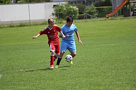 IMG_7272.jpg IMG_7272.jpg