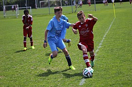 IMG_7282.jpg IMG_7282.jpg