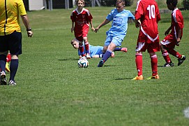 IMG_7294.jpg IMG_7294.jpg