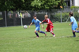 IMG_7296.jpg IMG_7296.jpg