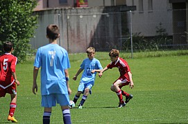 IMG_7306.jpg IMG_7306.jpg