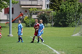 IMG_7308.jpg IMG_7308.jpg