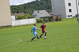 IMG_7313.jpg IMG_7313.jpg