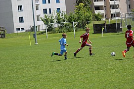 IMG_7315.jpg IMG_7315.jpg