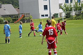 IMG_7319.jpg IMG_7319.jpg