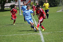 IMG_7321.jpg IMG_7321.jpg