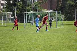 IMG_7345.jpg IMG_7345.jpg