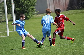 IMG_7369.jpg IMG_7369.jpg