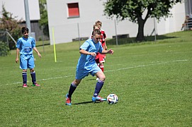 IMG_7374.jpg IMG_7374.jpg