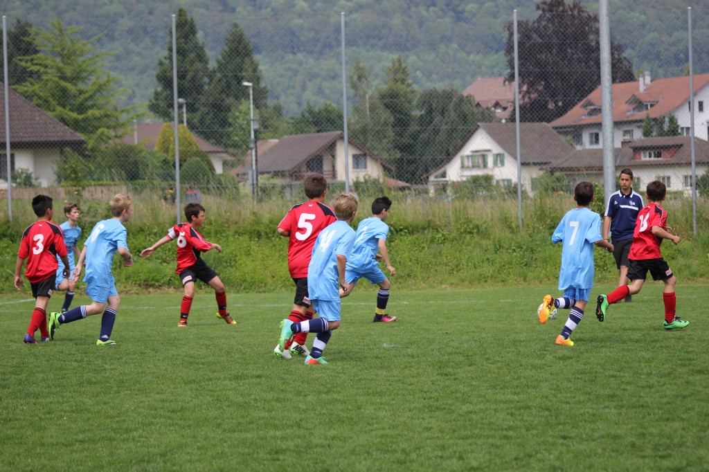 IMG_7808.jpg