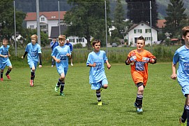 IMG_7736.jpg IMG_7736.jpg