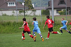 IMG_7748.jpg IMG_7748.jpg