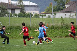 IMG_7750.jpg IMG_7750.jpg