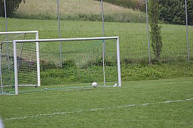 IMG_7752.jpg IMG_7752.jpg