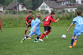 IMG_7772.jpg IMG_7772.jpg