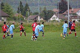 IMG_7808.jpg IMG_7808.jpg
