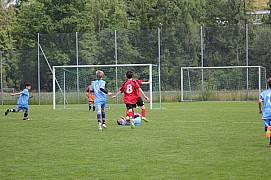 IMG_7813.jpg IMG_7813.jpg