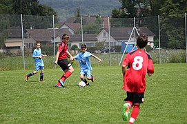 IMG_7823.jpg IMG_7823.jpg