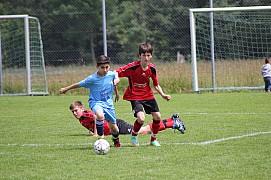 IMG_7825.jpg IMG_7825.jpg