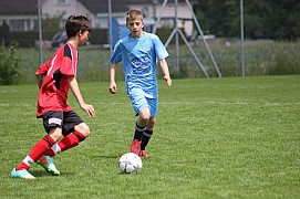 IMG_7829.jpg IMG_7829.jpg