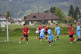 IMG_7833.jpg IMG_7833.jpg