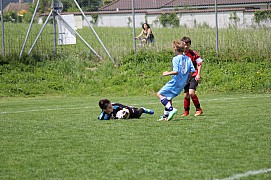 IMG_7841.jpg IMG_7841.jpg