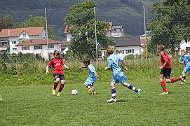 IMG_7843.jpg IMG_7843.jpg