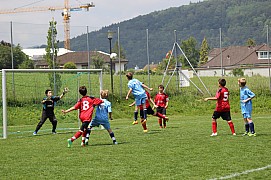 IMG_7847.jpg IMG_7847.jpg