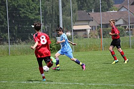 IMG_7854.jpg IMG_7854.jpg
