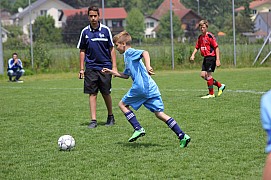 IMG_7856.jpg IMG_7856.jpg