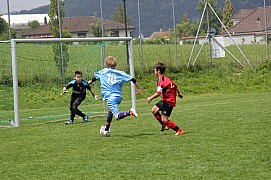 IMG_7862.jpg IMG_7862.jpg