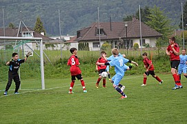 IMG_7879.jpg IMG_7879.jpg