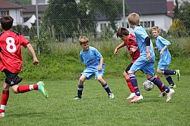 IMG_7896.jpg IMG_7896.jpg