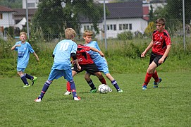 IMG_7897.jpg IMG_7897.jpg