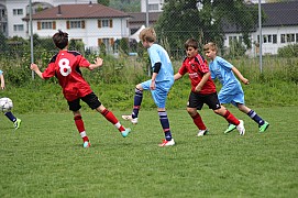 IMG_7898.jpg IMG_7898.jpg