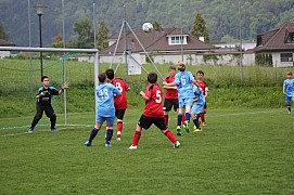 IMG_7901.jpg IMG_7901.jpg