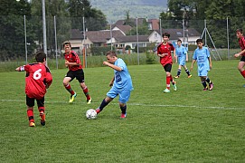 IMG_7913.jpg IMG_7913.jpg