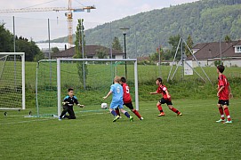 IMG_7919.jpg IMG_7919.jpg