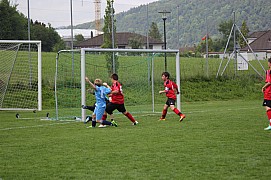IMG_7921.jpg IMG_7921.jpg
