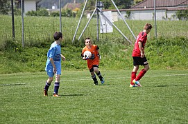 IMG_7935.jpg IMG_7935.jpg