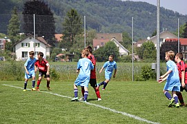 IMG_7947.jpg IMG_7947.jpg