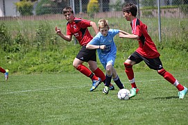 IMG_7952.jpg IMG_7952.jpg