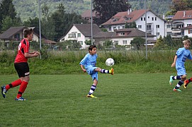 IMG_7976.jpg IMG_7976.jpg