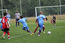 IMG_7981.jpg IMG_7981.jpg