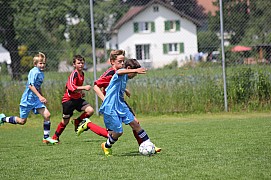 IMG_7994.jpg IMG_7994.jpg