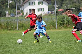 IMG_7996.jpg IMG_7996.jpg