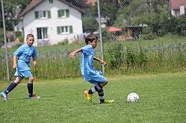 IMG_8000.jpg IMG_8000.jpg